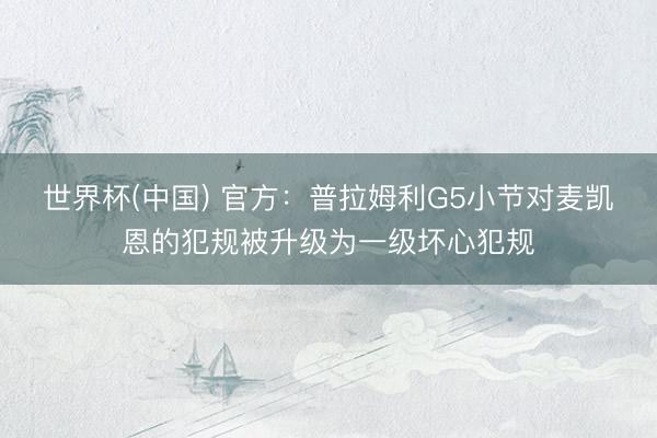 世界杯(中国) 官方：普拉姆利G5小节对麦凯恩的犯规被升级为一级坏心犯规