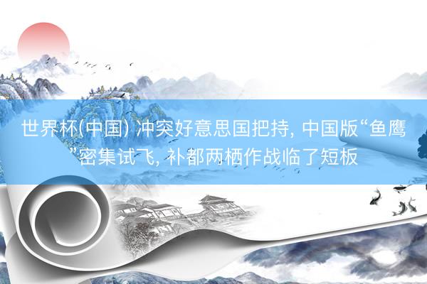 世界杯(中国) 冲突好意思国把持， 中国版“鱼鹰”密集试飞， 补都两栖作战临了短板