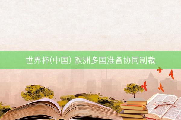 世界杯(中国) 欧洲多国准备协同制裁