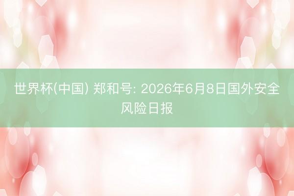 世界杯(中国) 郑和号: 2026年6月8日国外安全风险日报