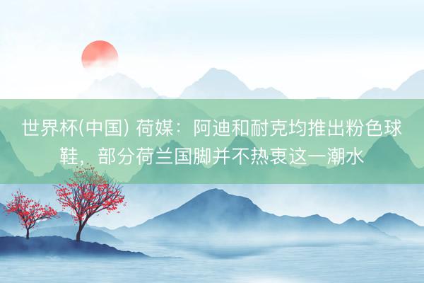 世界杯(中国) 荷媒：阿迪和耐克均推出粉色球鞋，部分荷兰国脚并不热衷这一潮水