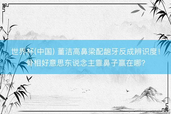 世界杯(中国) 董洁高鼻梁配龅牙反成辨识度！骨相好意思东说念主靠鼻子赢在哪？