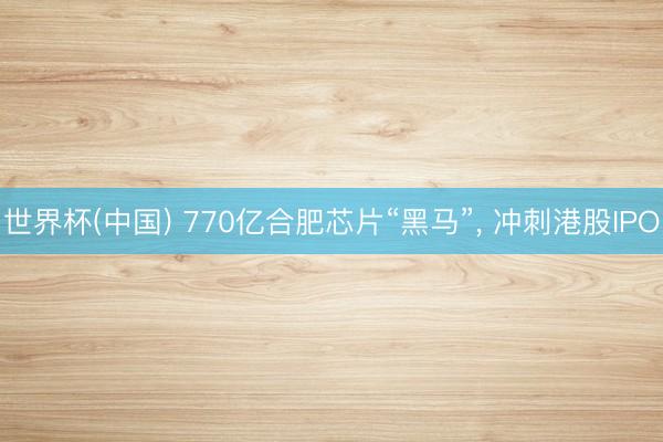世界杯(中国) 770亿合肥芯片“黑马”， 冲刺港股IPO